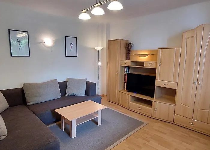 Apartament Romanin *